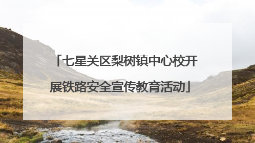 七星关区梨树镇中心校开展铁路安全宣传教育活动