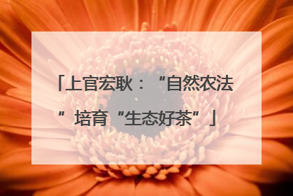 上官宏耿：“自然农法”培育“生态好茶”