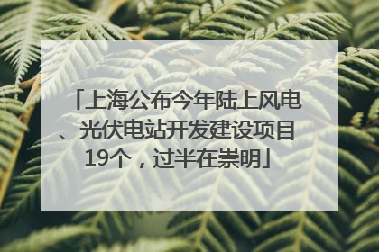 上海公布今年陆上风电、光伏电站开发建设项目19个，过半在崇明