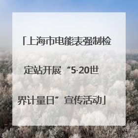 上海市电能表强制检定站开展“5·20世界计量日”宣传活动