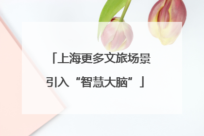 上海更多文旅场景引入“智慧大脑”