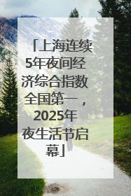 上海连续5年夜间经济综合指数全国第一，2025年夜生活节启幕