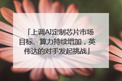 上调AI定制芯片市场目标、算力持续增加，英伟达的对手发起挑战