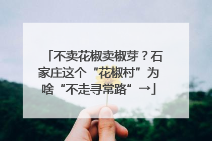 不卖花椒卖椒芽？石家庄这个“花椒村”为啥“不走寻常路”→