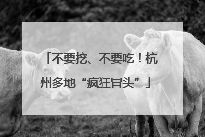不要挖、不要吃！杭州多地“疯狂冒头”