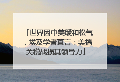 世界因中美缓和松气，埃及学者直言：美搞关税战损其领导力