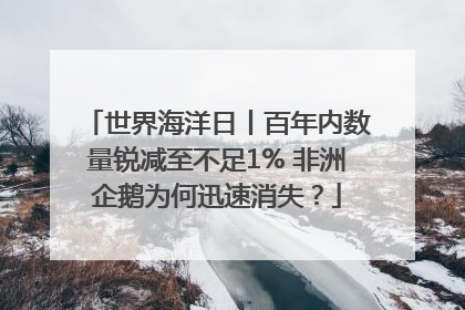世界海洋日丨百年内数量锐减至不足1% 非洲企鹅为何迅速消失？