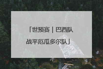 世预赛｜巴西队战平厄瓜多尔队
