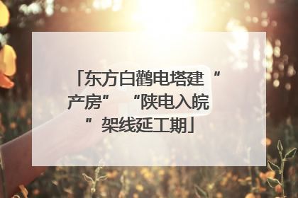 东方白鹳电塔建“产房” “陕电入皖”架线延工期