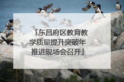 东昌府区教育教学质量提升突破年推进现场会召开