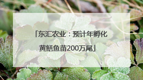 东汇农业：预计年孵化黄鳝鱼苗200万尾