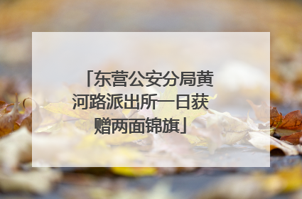 东营公安分局黄河路派出所一日获赠两面锦旗