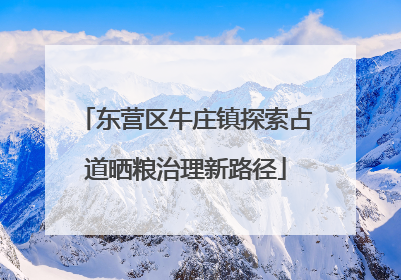 东营区牛庄镇探索占道晒粮治理新路径