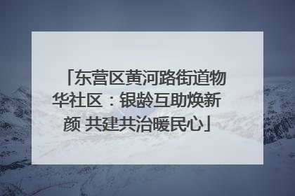 东营区黄河路街道物华社区：银龄互助焕新颜 共建共治暖民心