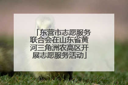 东营市志愿服务联合会在山东省黄河三角洲农高区开展志愿服务活动