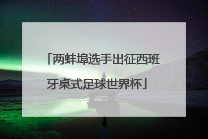 两蚌埠选手出征西班牙桌式足球世界杯