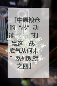 中原粮仓的“芯”动能——“打赢这一战 底气从何来”系列观察之四