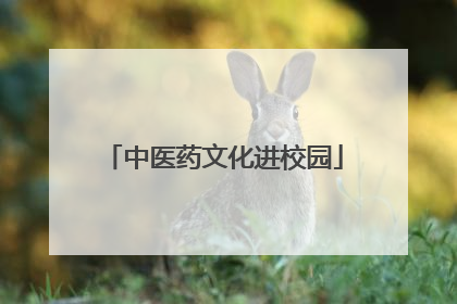 中医药文化进校园