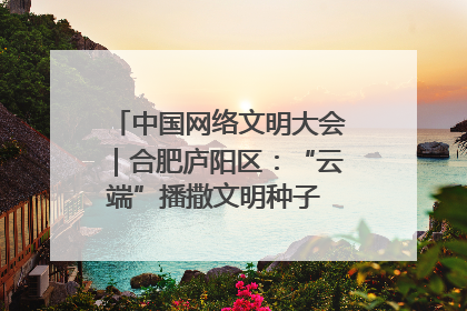 中国网络文明大会｜合肥庐阳区：“云端”播撒文明种子 共建清朗网络空间