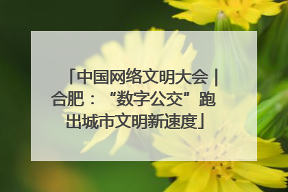中国网络文明大会｜合肥：“数字公交”跑出城市文明新速度