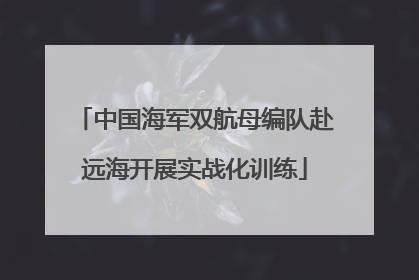 中国海军双航母编队赴远海开展实战化训练