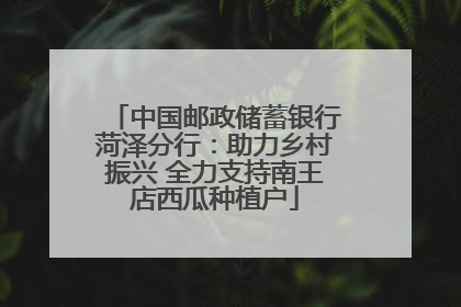 中国邮政储蓄银行菏泽分行：助力乡村振兴 全力支持南王店西瓜种植户