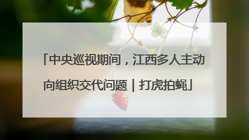 中央巡视期间，江西多人主动向组织交代问题｜打虎拍蝇