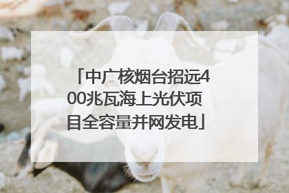 中广核烟台招远400兆瓦海上光伏项目全容量并网发电