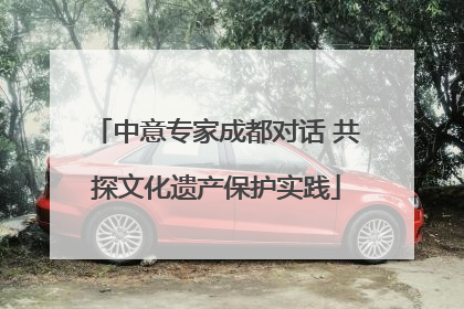 中意专家成都对话 共探文化遗产保护实践