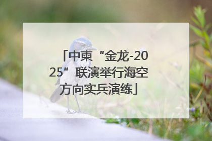 中柬“金龙-2025”联演举行海空方向实兵演练