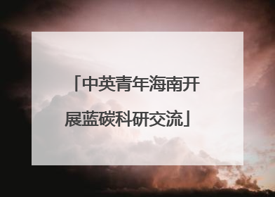 中英青年海南开展蓝碳科研交流