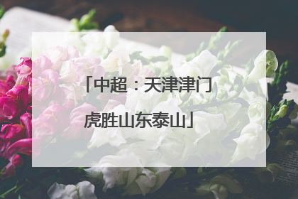中超：天津津门虎胜山东泰山