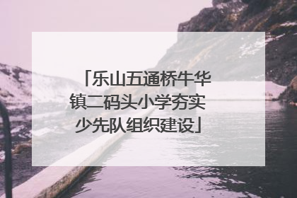 乐山五通桥牛华镇二码头小学夯实少先队组织建设