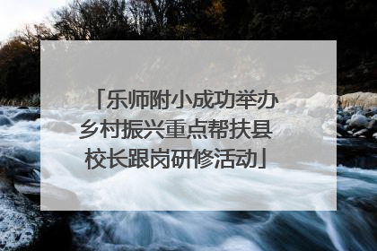 乐师附小成功举办乡村振兴重点帮扶县校长跟岗研修活动
