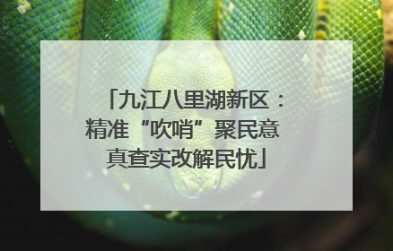 九江八里湖新区：精准“吹哨”聚民意 真查实改解民忧