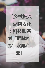 乡村振兴｜湖南安化：科技服务团“把脉问诊”水果产业