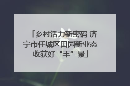乡村活力新密码 济宁市任城区田园新业态收获好“丰”景