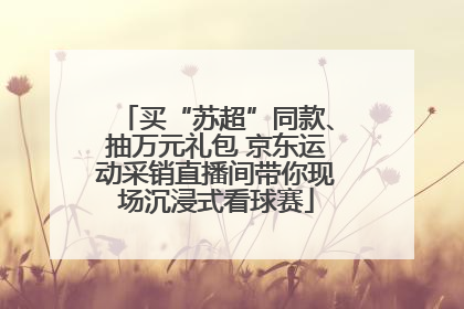 买“苏超”同款、抽万元礼包 京东运动采销直播间带你现场沉浸式看球赛