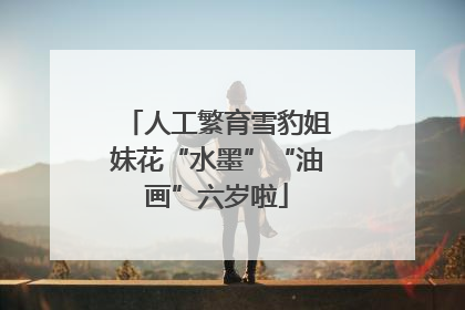人工繁育雪豹姐妹花“水墨”“油画”六岁啦
