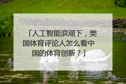 人工智能浪潮下，美国体育评论人怎么看中国的体育创新？