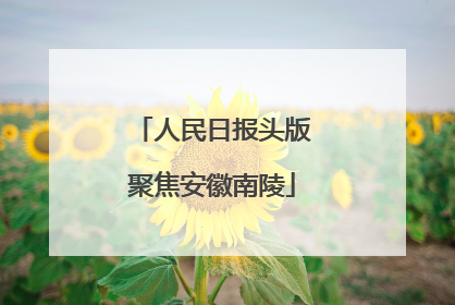 人民日报头版聚焦安徽南陵