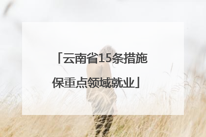 云南省15条措施保重点领域就业