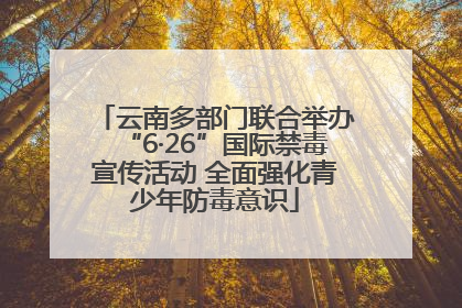 云南多部门联合举办“6·26”国际禁毒宣传活动 全面强化青少年防毒意识