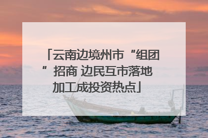 云南边境州市“组团”招商 边民互市落地加工成投资热点