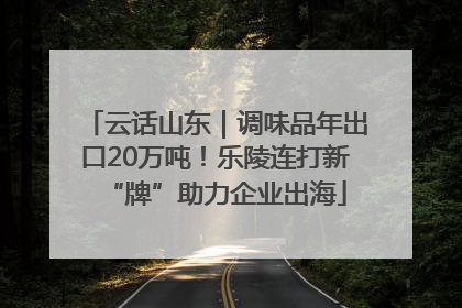 云话山东｜调味品年出口20万吨！乐陵连打新“牌”助力企业出海