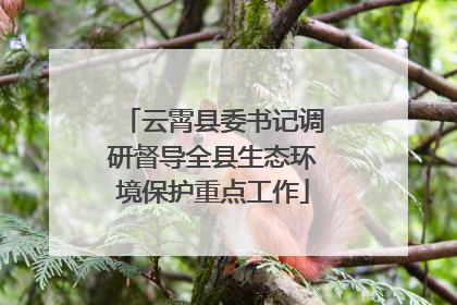 云霄县委书记调研督导全县生态环境保护重点工作
