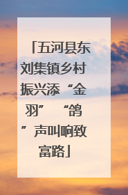 五河县东刘集镇乡村振兴添“金羽” “鸽”声叫响致富路
