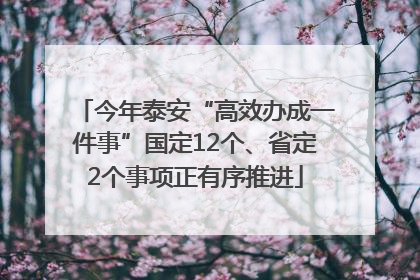 今年泰安“高效办成一件事”国定12个、省定2个事项正有序推进