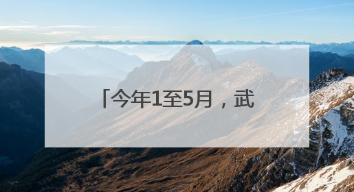 今年1至5月，武汉航空口岸免签入境外国人同比增长160.87%