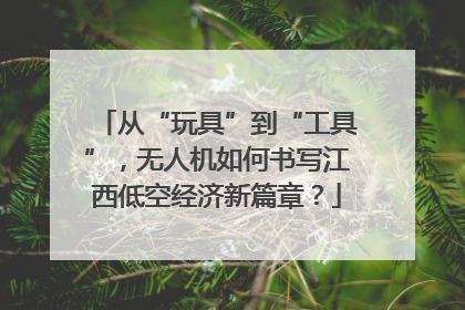 从“玩具”到“工具”，无人机如何书写江西低空经济新篇章？